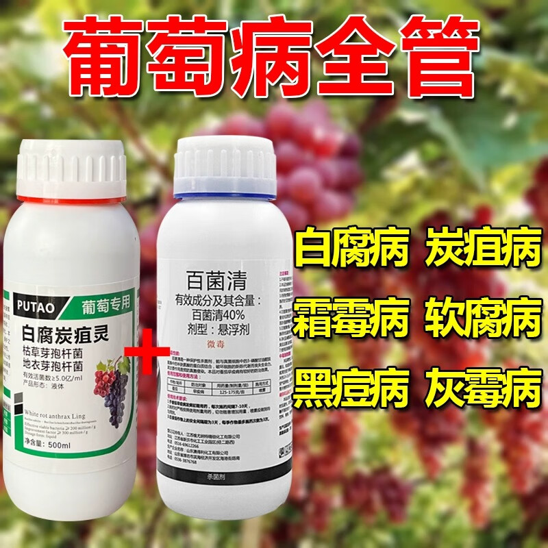 葡萄病专用药 白腐病炭疽病霜霉病白粉病软腐病烂籽病杀菌剂 200ml