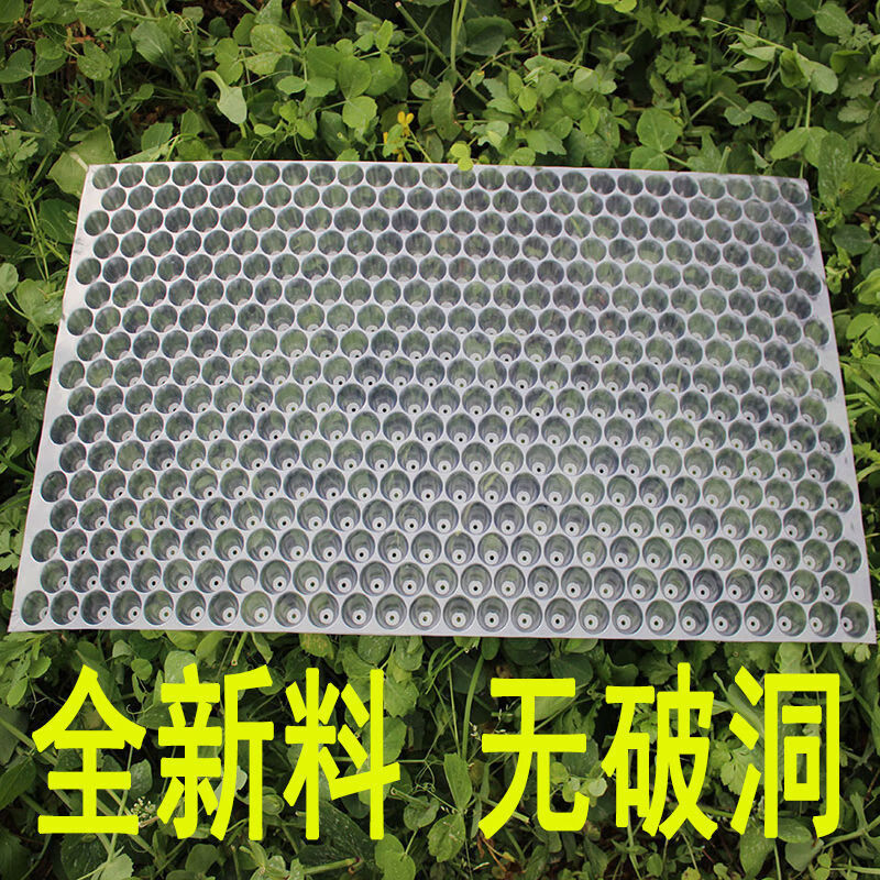 南啵丸兴农手抛育秧盘水稻人工抛秧晚稻育苗盘塑料抛秧434孔353孔561