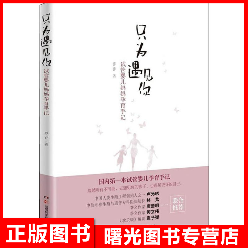 只为遇见你 试管婴儿妈妈孕育手记湖南科学技术出版社有限责任公司 全新正版