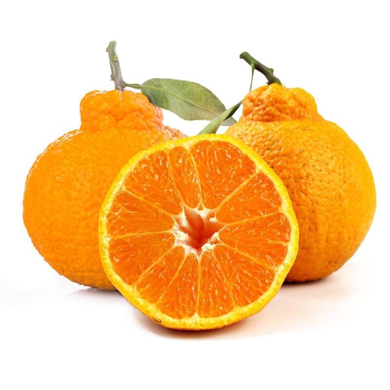 泰汇吃四川蒲江不知火丑橘 丑柑丑八怪桔子 新鲜时令应季水果 带箱 5