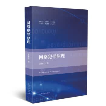 网络犯罪原理 王肃之 人民法院出版社 9787510927102