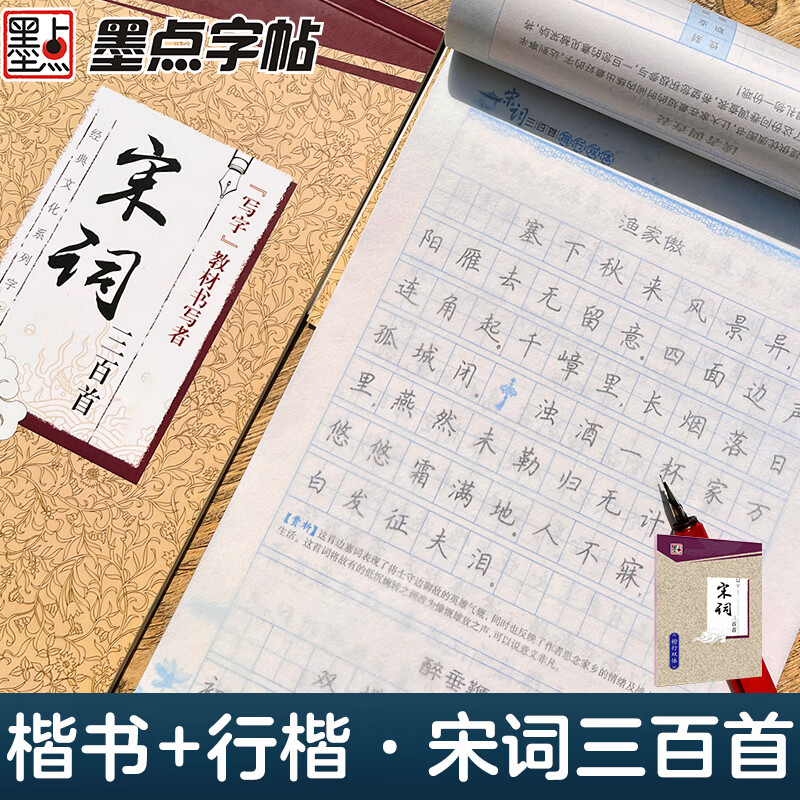 墨点字帖 经典文化系列字帖 宋词三百首 