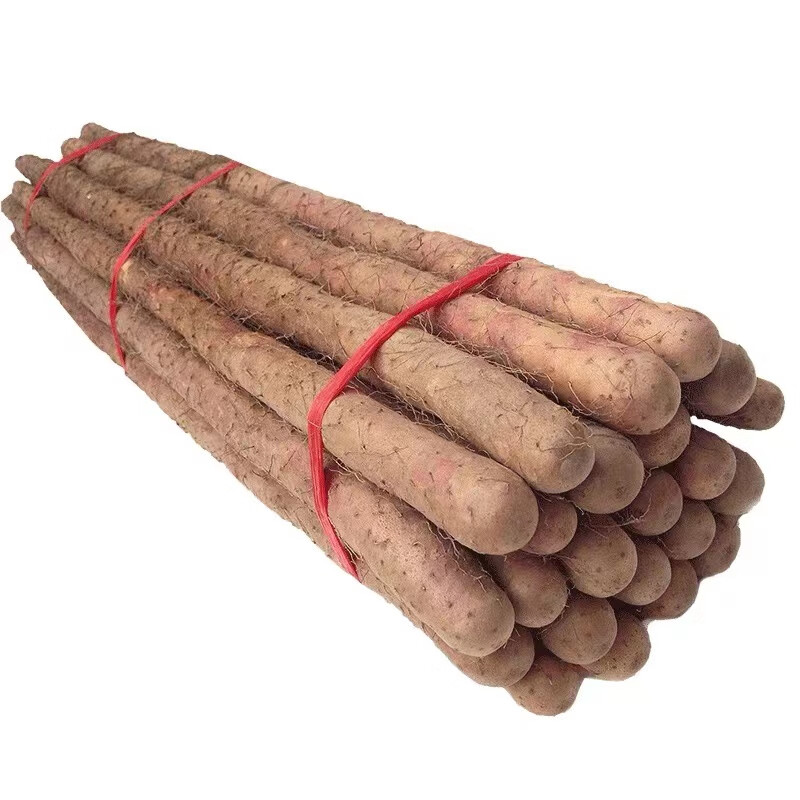 采缇(caiti)温县垆土铁棍山药正宗河南焦作新鲜生铁杆怀山淮山 5斤