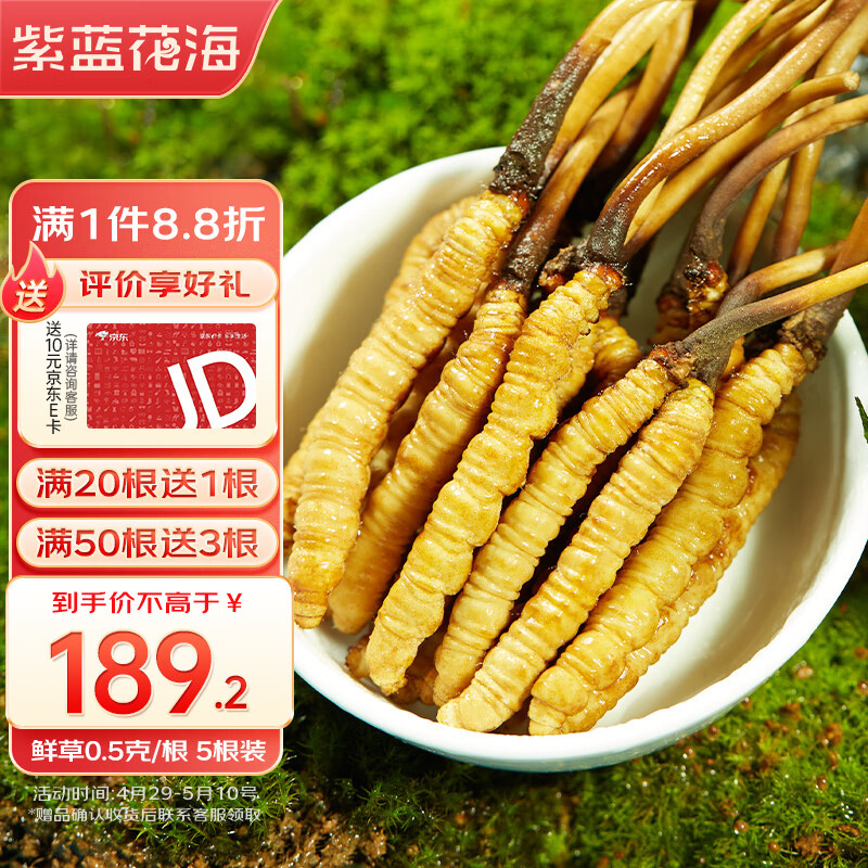 冬虫夏草的价格行情与趋势|冬虫夏草价格走势