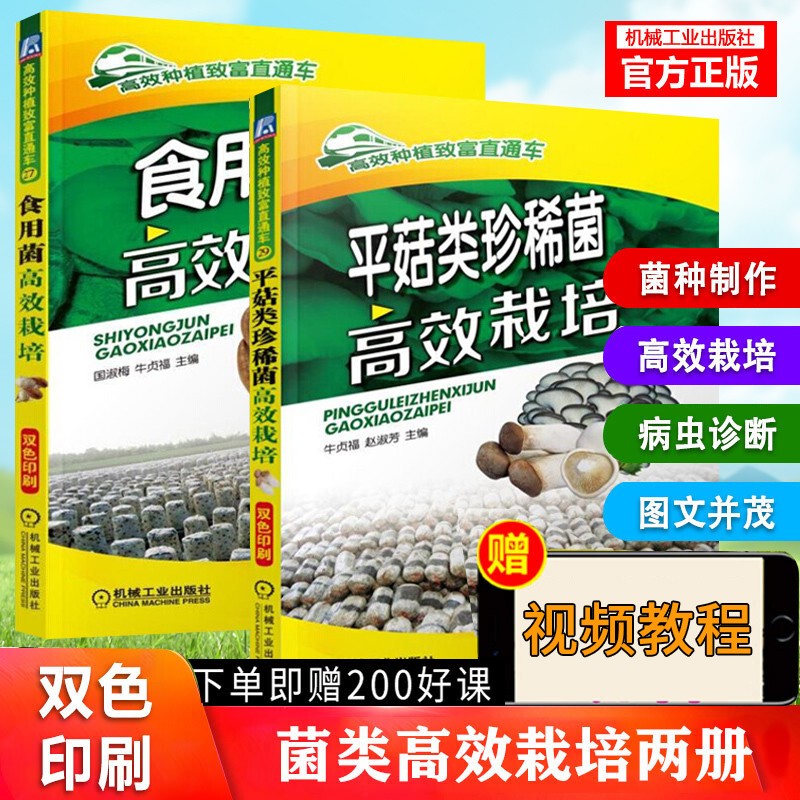 平菇类珍稀菌高效栽培食用菌实用栽培 蘑菇平菇种植技术书 菌类养 