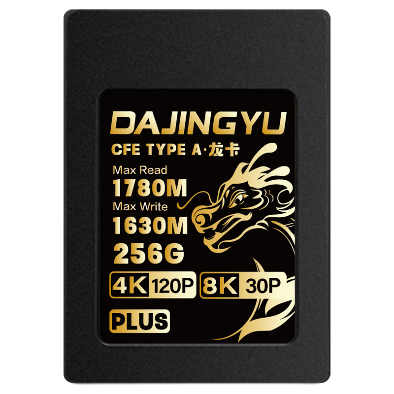 DAJINGYUcfa CFexpress Type A洢 a1 A7 FX3 FX6 A93 CFE-APLUS-256G