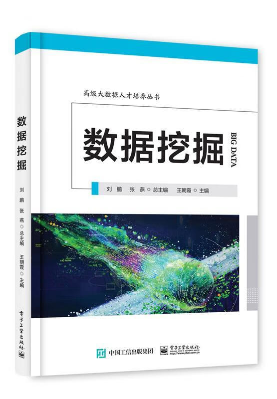 数据挖掘 王朝霞