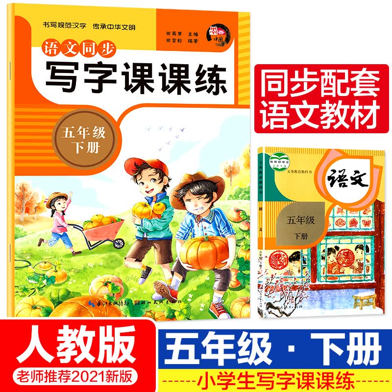 五年级下册语文同步写字课课练 部编人教版小学生5年级课本同步训练练字帖硬笔钢笔书法生字专项练习楷书练