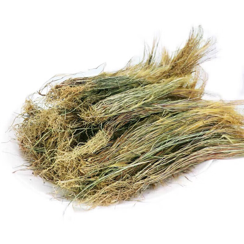 广西野生 金丝草 笔仔草 竹篙草 猫毛草  500g 250g 250g