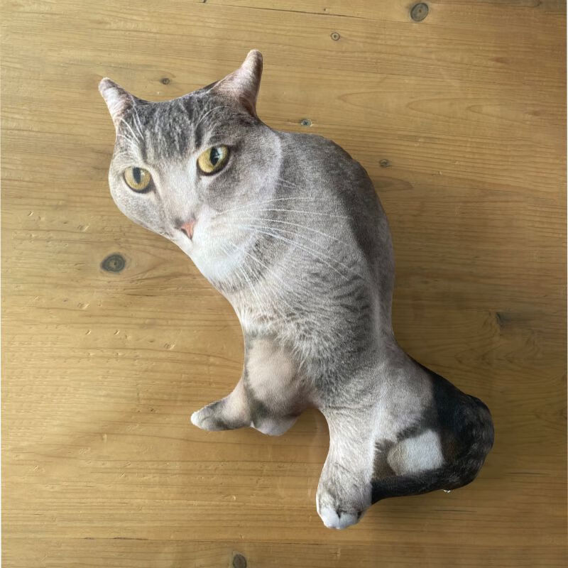 创京懿选无白边抱枕定制diy无白边丑猫抱枕来图定制照片做异形diy抽象