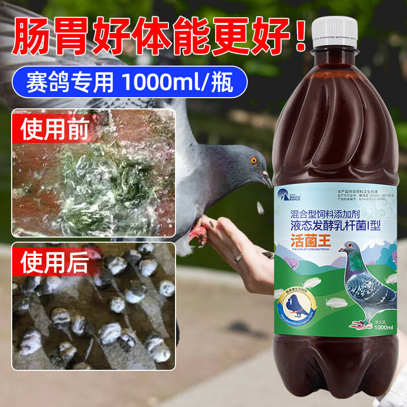 贝意品鸽用活菌赛鸽信鸽子鹦鹉鸟用品药调理肠道拉绿便稀水便 【赛鸽