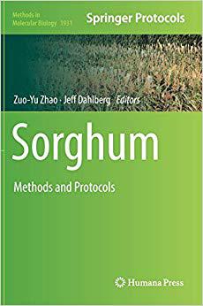 【预订】sorghum