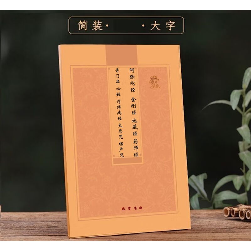 阿弥陀经金刚经地藏经药师经普门品心经六经三咒简装16开横排拼音