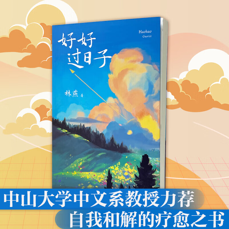 好好过日子 自我和解的疗愈之书 调整不良情绪提升自身能量家庭婚姻