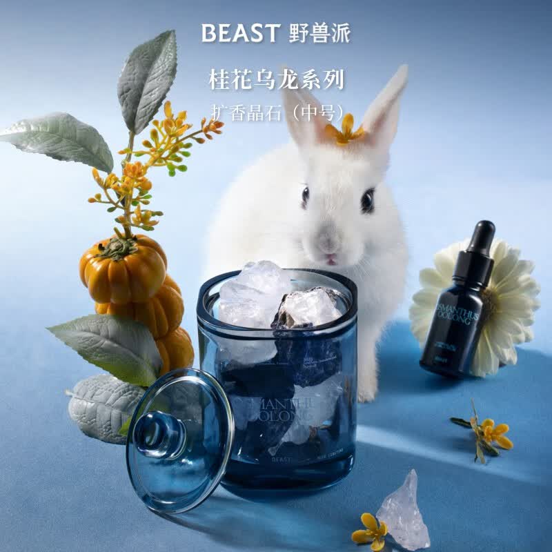 野兽派（THE BEAST）Premium系列桂花乌龙香薰晶石香薰精油香薰卧室生日礼物 桂花乌龙扩香晶石（中号）高性价比高么？