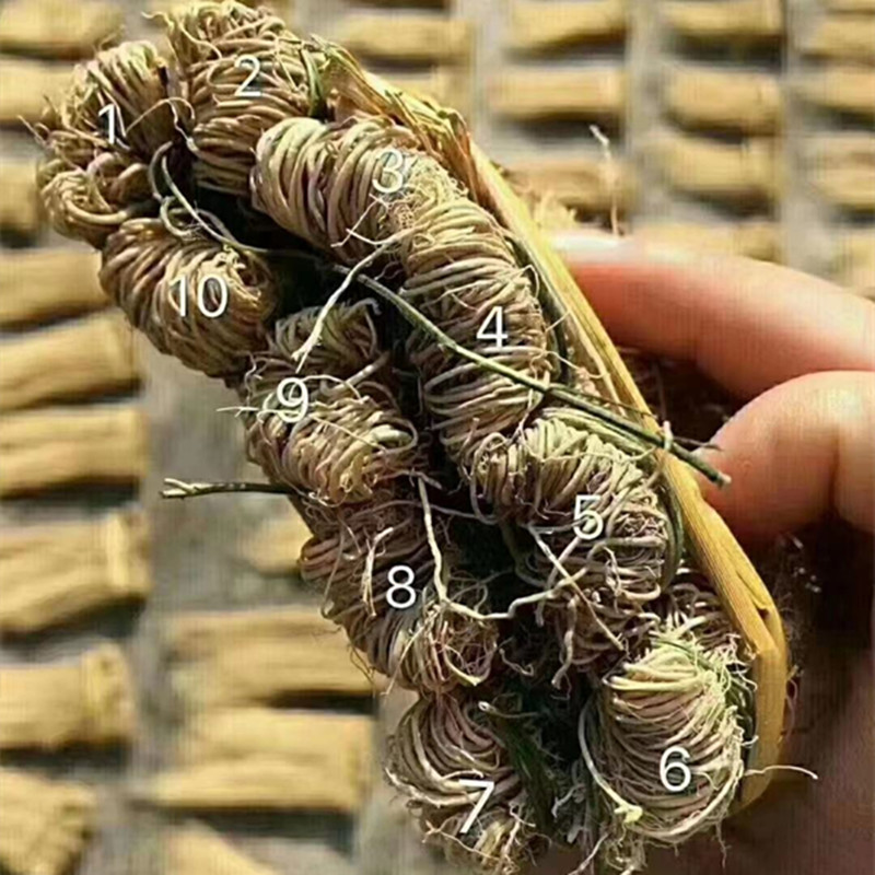 宜享健康草 粤北特产草丝线根草龙须草广东汤料1扎10把农家生