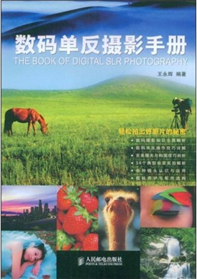 【特】数码单反摄影手册 王永辉|223116
