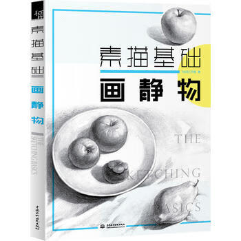 素描基础 画静物
