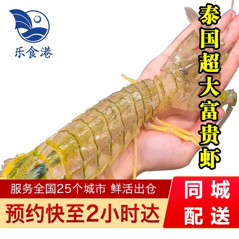 乐食港鲜活泰国富贵虾活虾500g（2-3只）海鲜水产