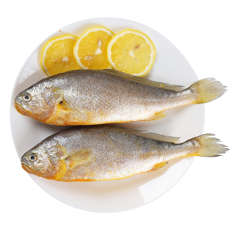 棠鲜生 中号黄鱼一斤2-3条杀鱼 大黄鱼大黄花鱼新鲜海鲜海鱼