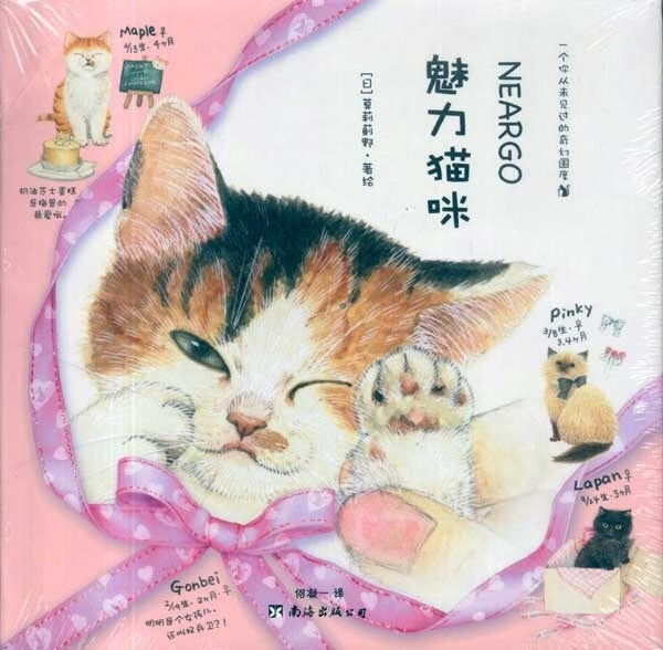魅力猫咪