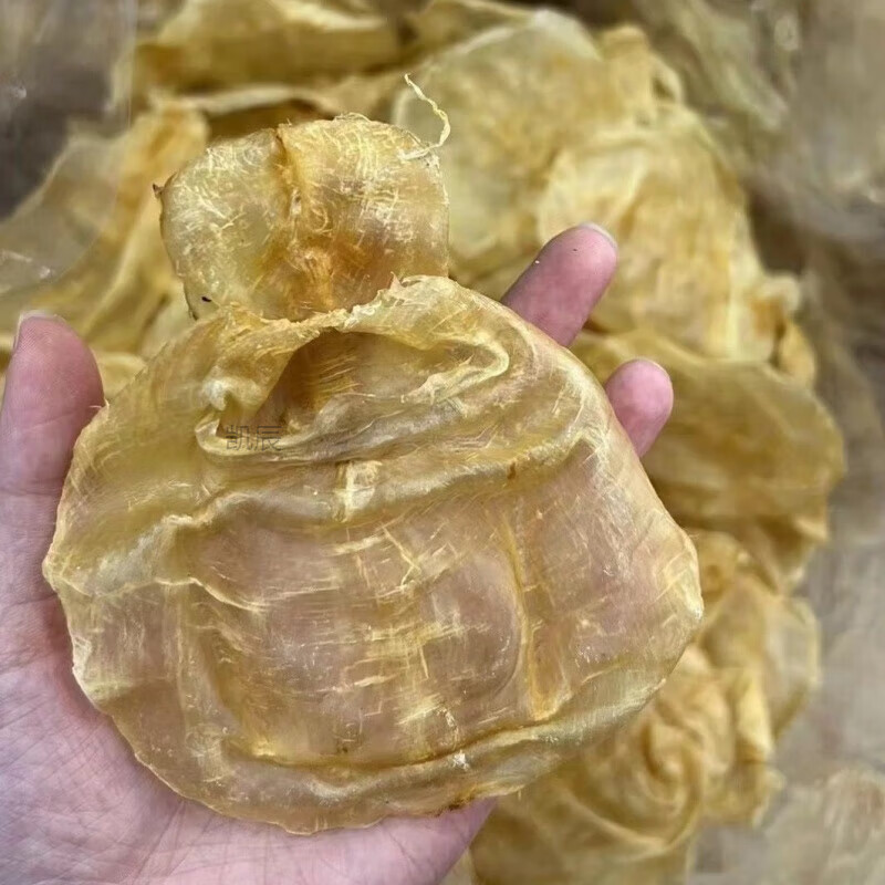 望蓝川越南蜘蛛胶甲肚公胶花胶鱼胶干货产后滋补 26头印尼甲肚【500g