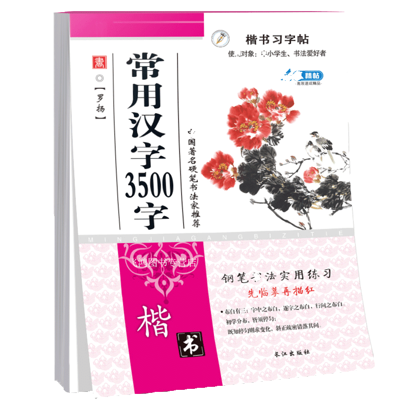 楷书习字帖中小学生钢笔字帖常用汉字3500字钢笔字帖学与练