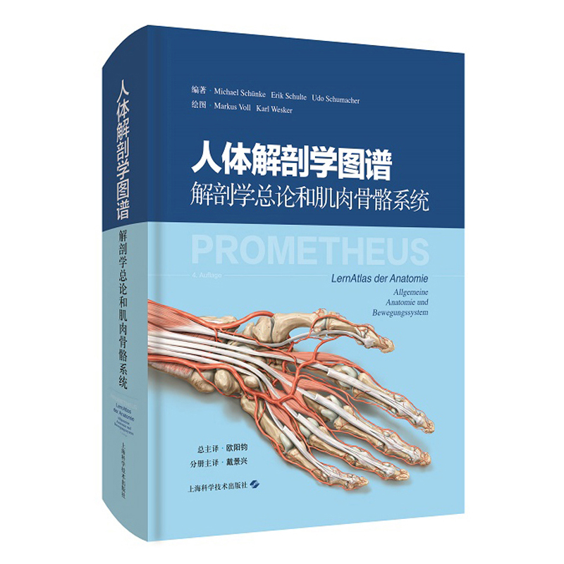 人体解剖学图谱：解剖学总论和肌肉骨骼系统 kindle格式下载