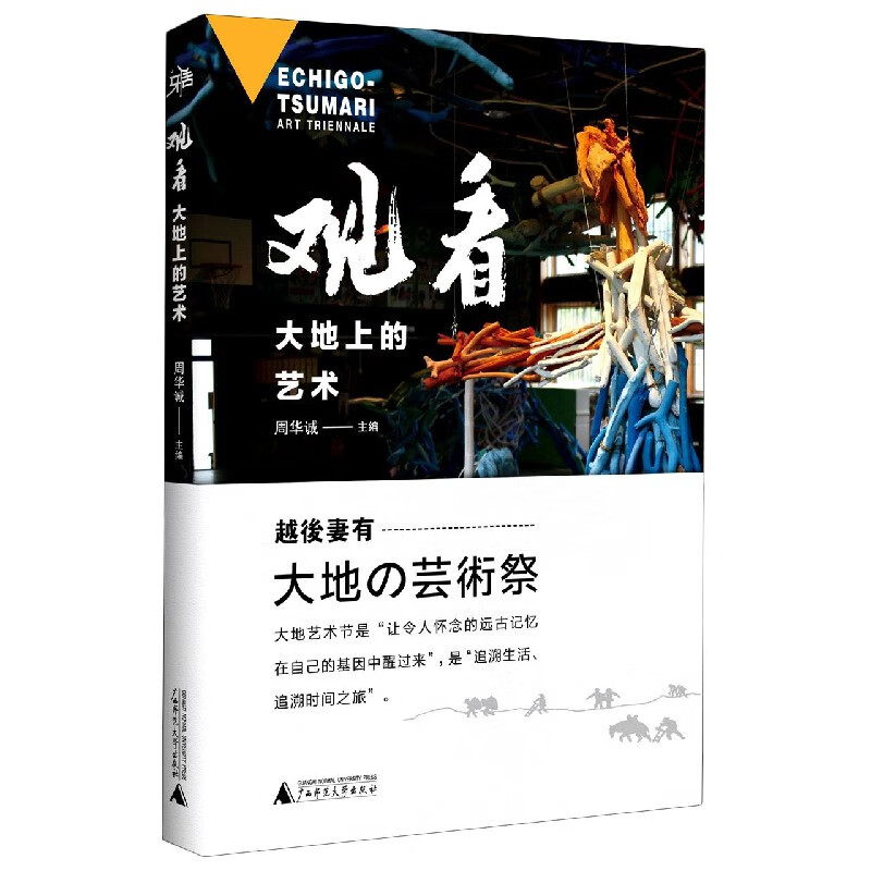 观看(大地上的艺术)