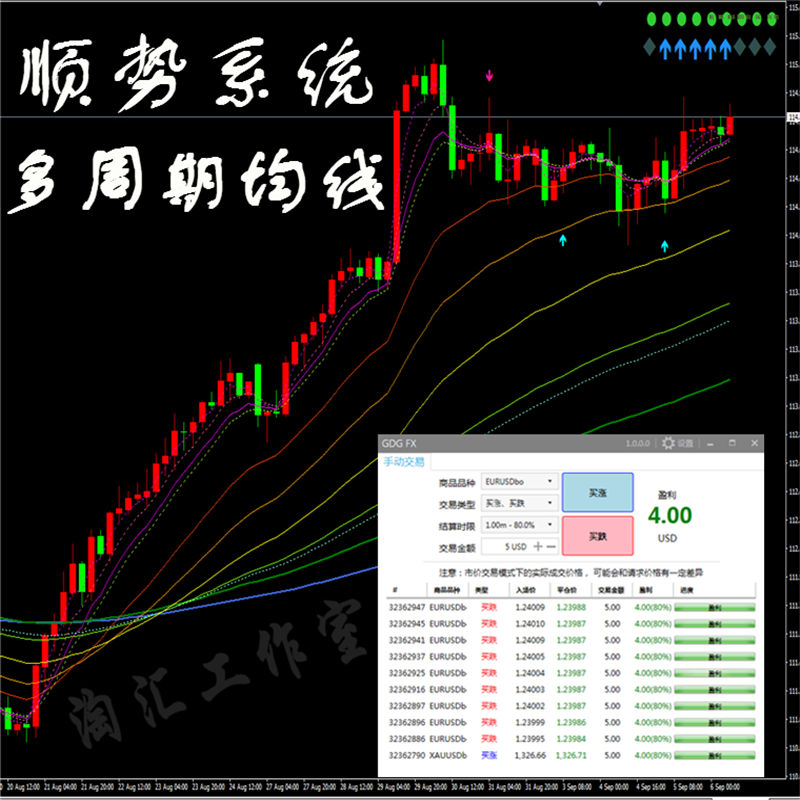 TMGM实名认证，保障交易安全的关键步骤