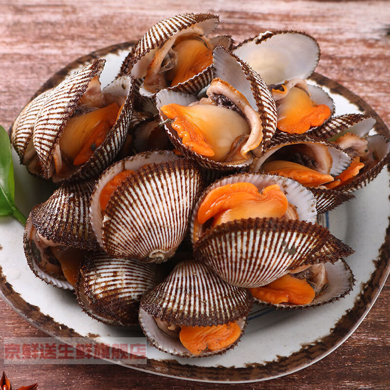 鲜活毛蚶高品质新鲜蛤蜊毛蛤血蛤大毛蚶海毛蛤 2kg 简装