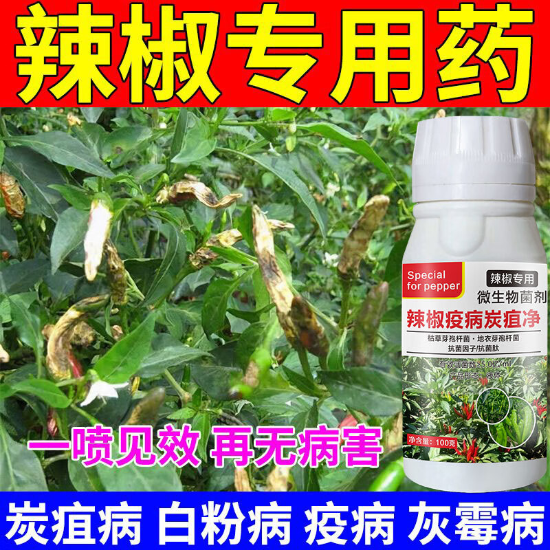 辣椒专用药炭疽净辣椒炭疽病病毒病卷叶黄叶斑点病专用杀菌剂农用 100