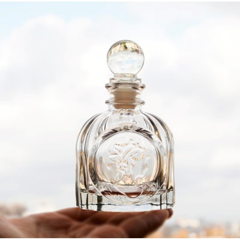 瓶子储钱攒存小号黄金玻璃收纳空密封罐迷你精致网红 100毫升女神头像