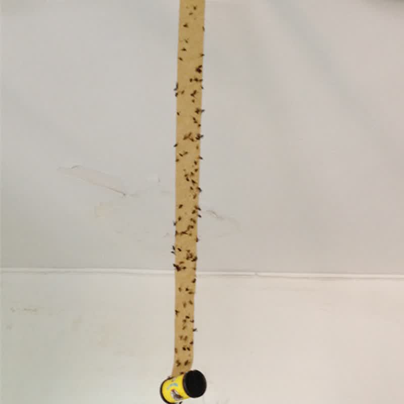 三利消毒高品质捕蝇王苍蝇贴粘蝇条纸板彩带无农药宠物儿童安全70厘米长效 15卷