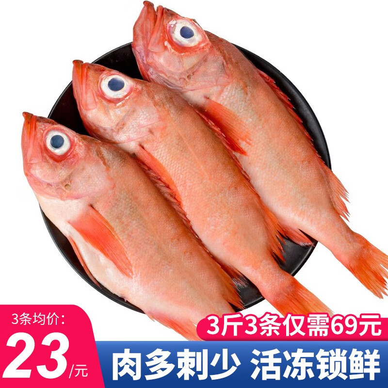 鲜拔头筹 红石斑鱼 大眼鱼富贵鱼深海鱼生鲜鱼类 海鲜水产 3斤3条