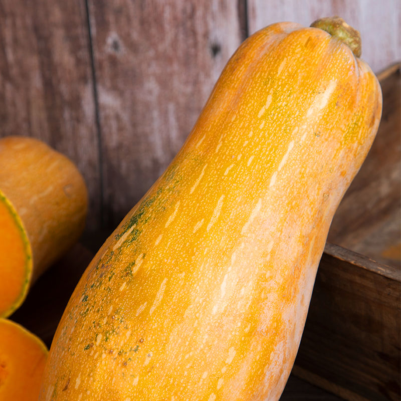 斤清甜农家自种宝宝辅食孕妇蔬菜整箱生鲜 老南瓜(净重5斤左右)实惠装