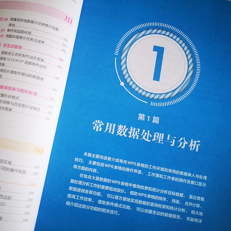 WPS表格实战技巧精粹 WPS官方认证 ExcelHome出品 全彩高效办公书