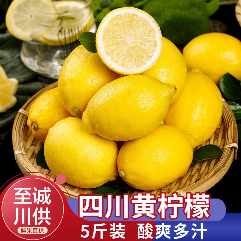 至诚 柠檬水果四川柠檬大果 5斤装黄柠檬 生鲜水果