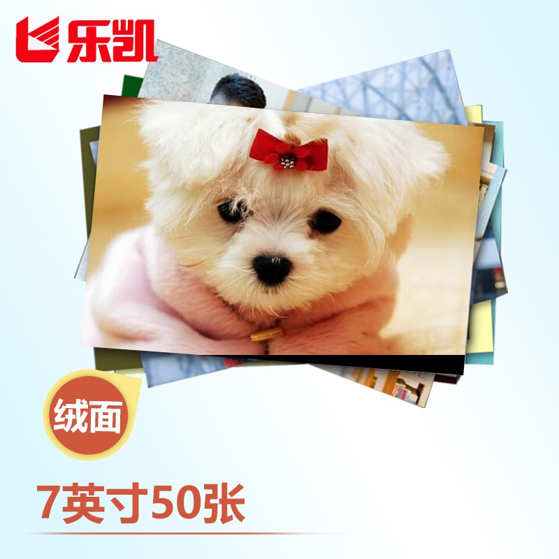 冲印服务历史价格查询软件|冲印服务价格走势