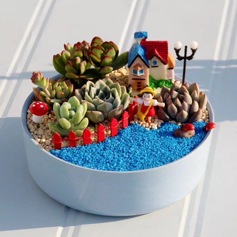 儿童节礼物男孩女孩多肉组合手工diy多肉材料包混搭微景观套装 拥抱