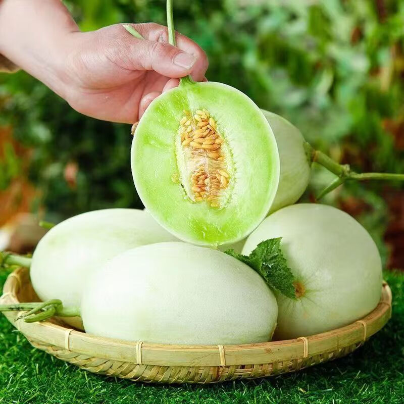 田园东方海南玉菇甜瓜 冰激凌香瓜 当季新鲜水果（变软再食用） 带箱毛重 5斤装净重（4.5斤）