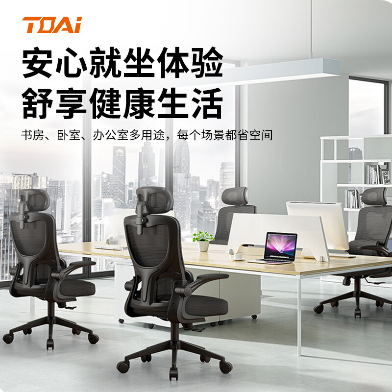 TOAI 拓艾D1人体工学椅电脑椅 电竞椅 办公椅子人工力学椅学生椅凳子 D1翻转扶手+多功能头枕-黑框黑网