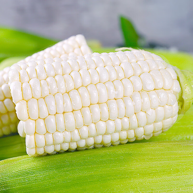中鲜生白糯玉米新鲜玉米 单果200g+ 新鲜蔬菜甜玉米 源头直发包邮 净重5斤 【约5-8根】