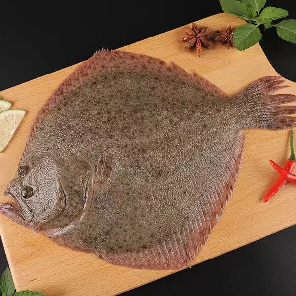 雨林食味【顺丰】海捕多宝鱼新鲜速冻海鲜活水产 【5-7两/条】*6