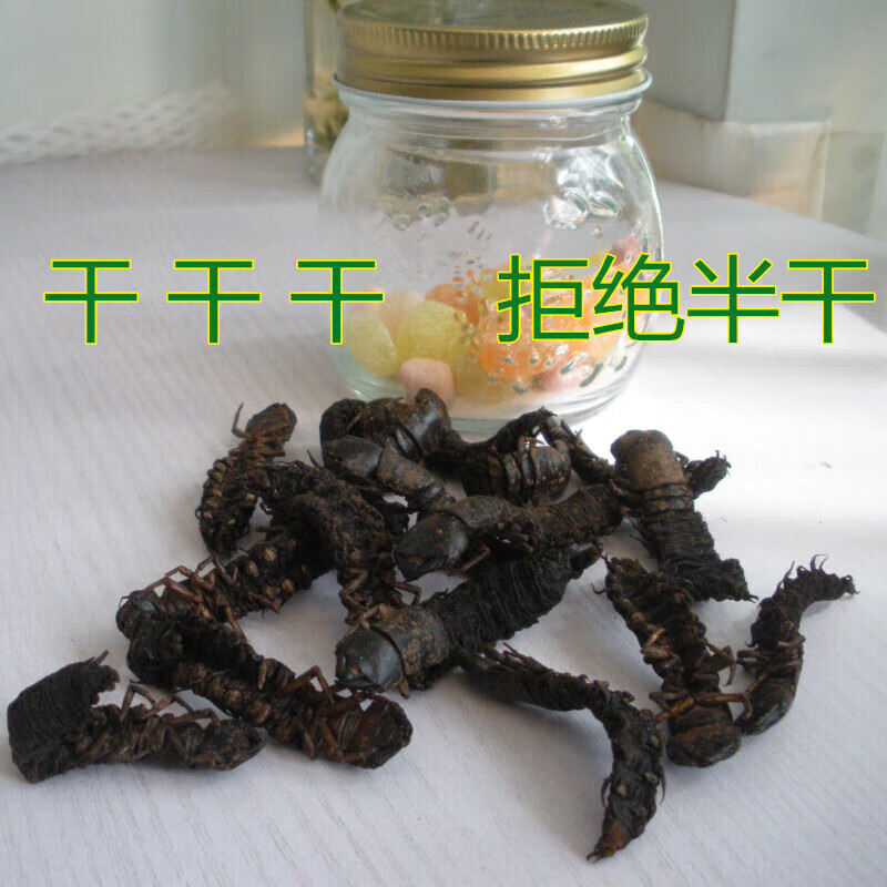 虎钢馋攀枝花特产爬沙虫水蜈蚣干货下单现烤100g