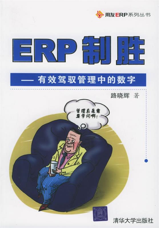 ERP制胜 路晓辉 著