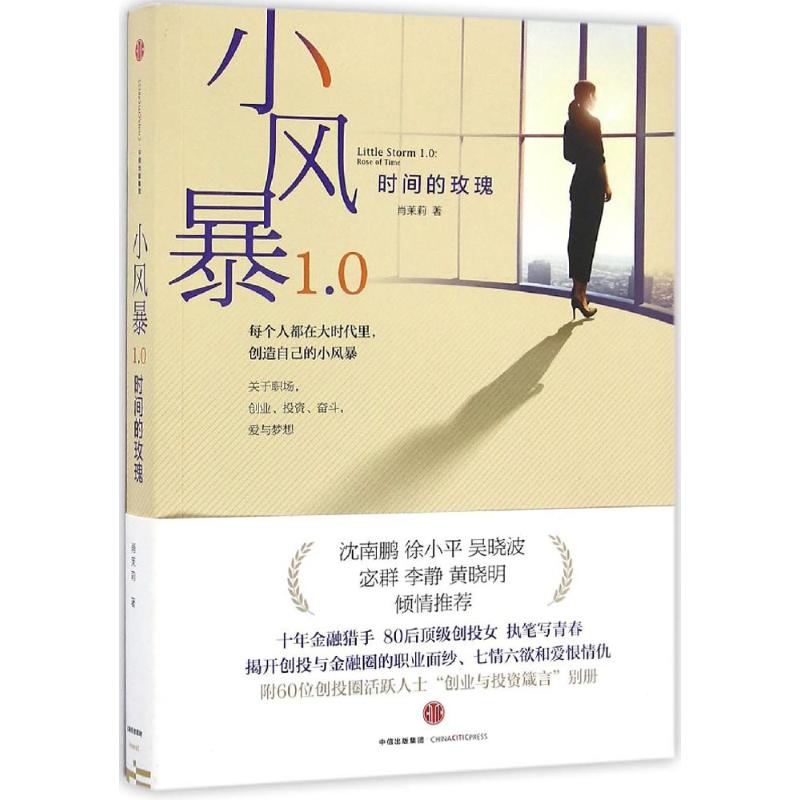 小风暴1.0 肖茉莉 书籍