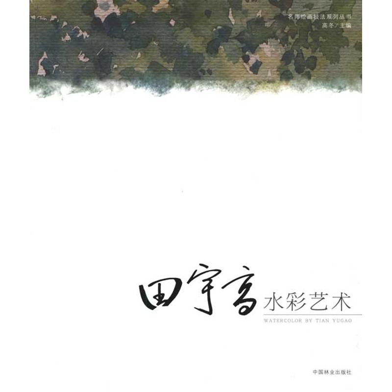 田宇高水彩艺术 高冬 作 高冬 主编 书籍