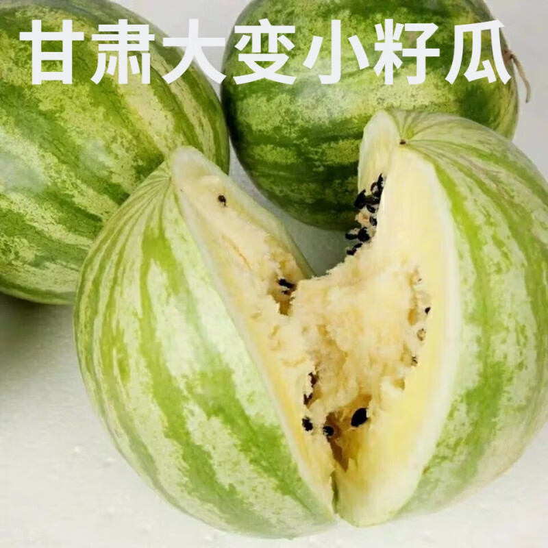 独爱(duar)籽瓜甘肃兰州籽瓜皋兰旱沙地大变小籽瓜新鲜西瓜魔瓜 1 16