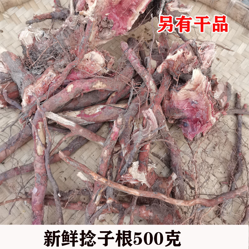 广西新鲜现挖山捻根山稔根桃金娘根捻子树根岗稔根500克 捻子根1斤干